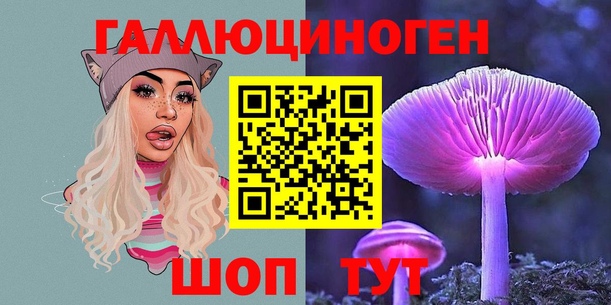 Сергиев Посад  Галлюциногенные грибы Psilocybine cubensis  Вход с VPN 